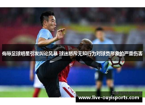 侮辱足球明星引发舆论风暴 球迷怒斥无知行为对球员形象的严重伤害